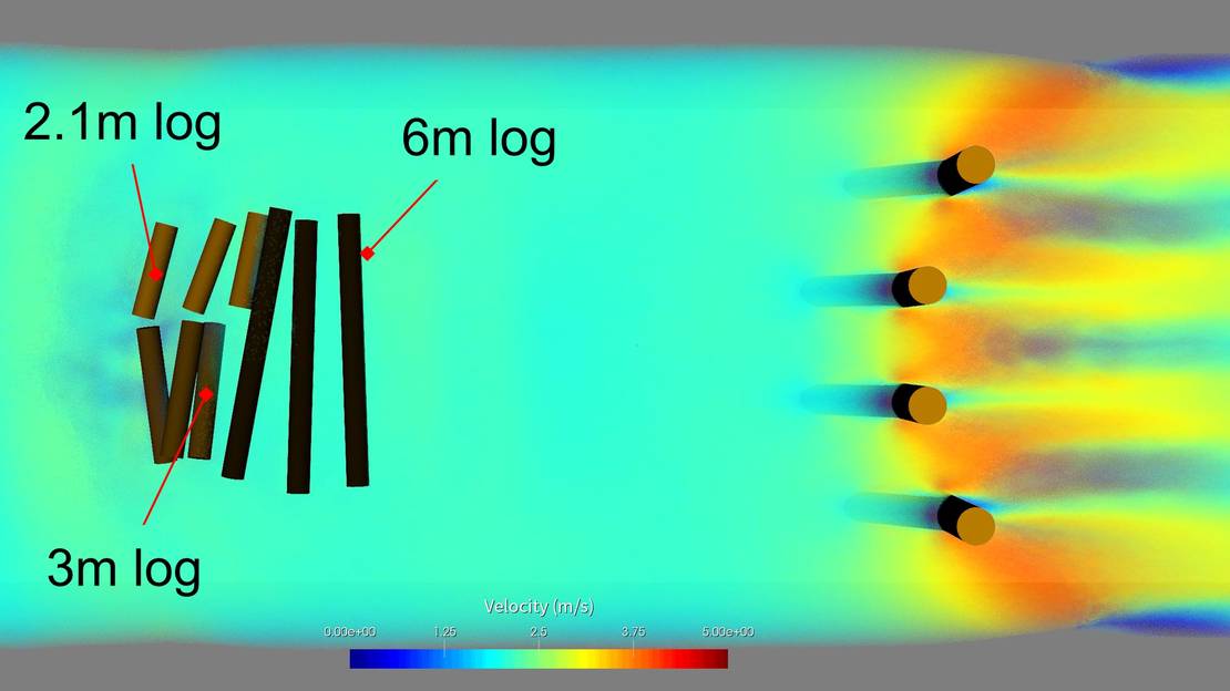 tree logs in the chanel